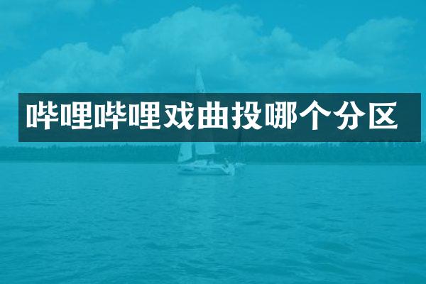 哔哩哔哩戏曲投哪个分区