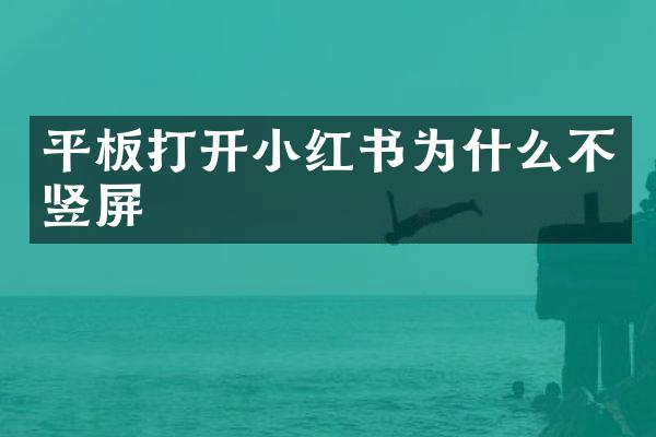 平板打开小红书为什么不竖屏