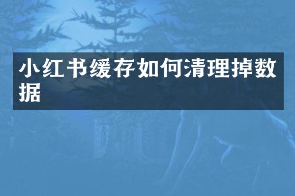 小红书缓存如何清理掉数据
