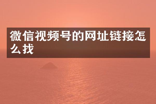 微信视频号的网址链接怎么找