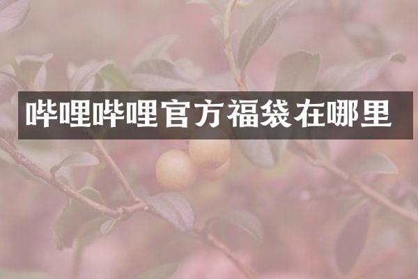 哔哩哔哩官方福袋在哪里