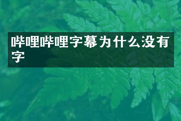 哔哩哔哩字幕为什么没有字
