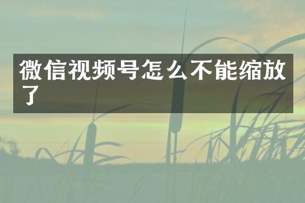 微信视频号怎么不能缩放了