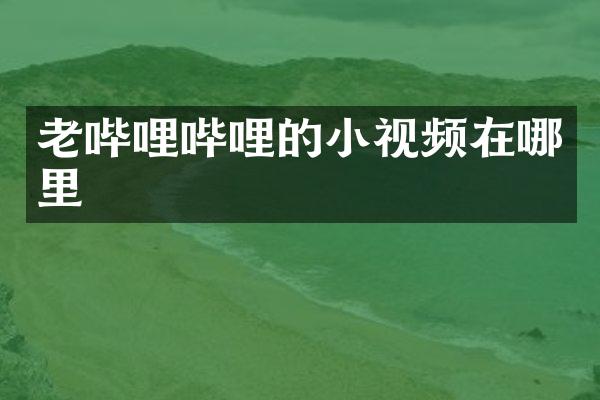 老哔哩哔哩的小视频在哪里