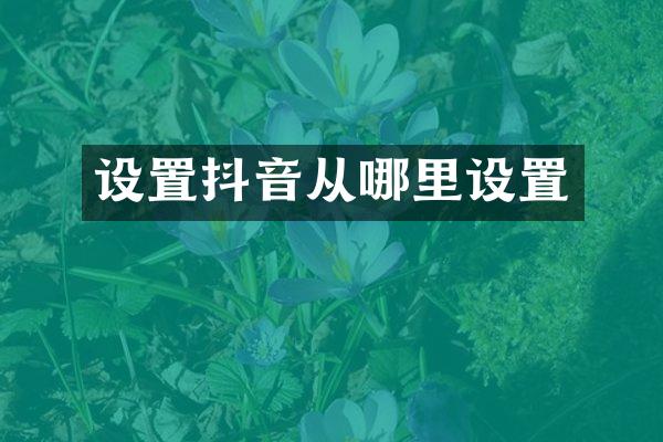 设置抖音从哪里设置