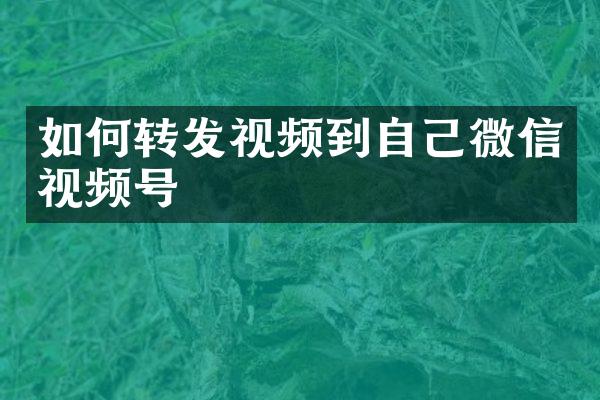 如何转发视频到自己微信视频号