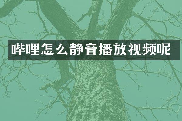 哔哩怎么静音播放视频呢