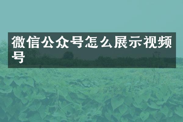 微信公众号怎么展示视频号