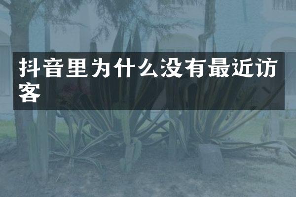 抖音里为什么没有最近访客