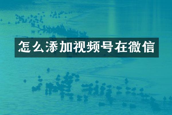 怎么添加视频号在微信