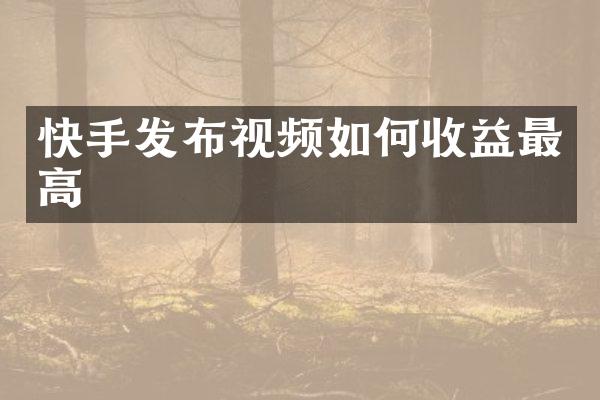 快手发布视频如何收益最高