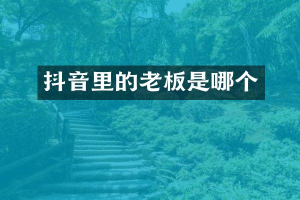 抖音里的老板是哪个