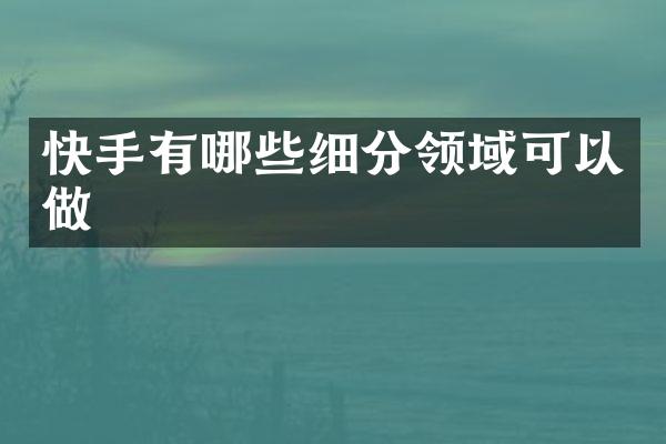 快手有哪些细分领域可以做