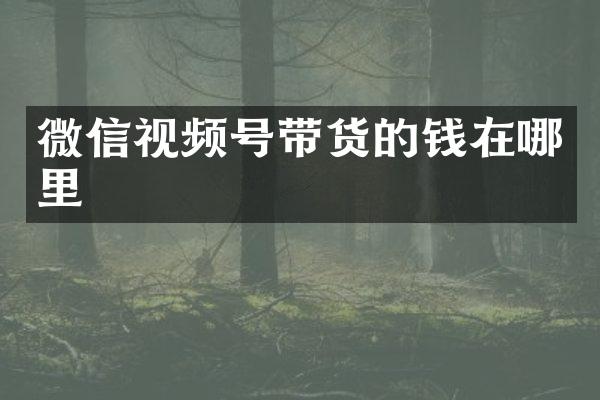 微信视频号带货的钱在哪里