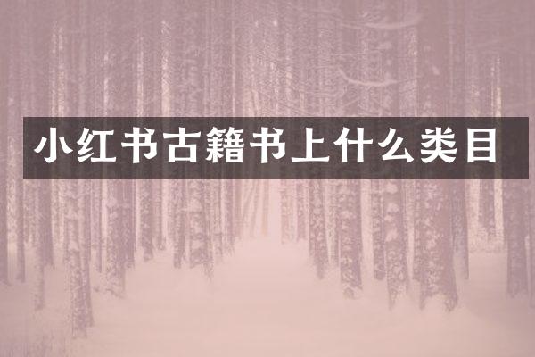 小红书古籍书上什么类目