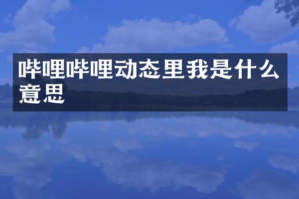 哔哩哔哩动态里我是什么意思