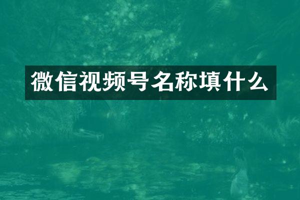 微信视频号名称填什么