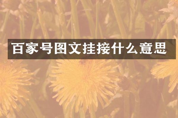 百家号图文挂接什么意思