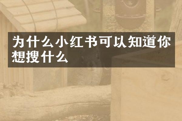 为什么小红书可以知道你想搜什么