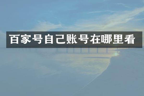 百家号自己账号在哪里看