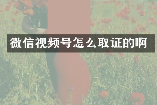 微信视频号怎么取证的啊