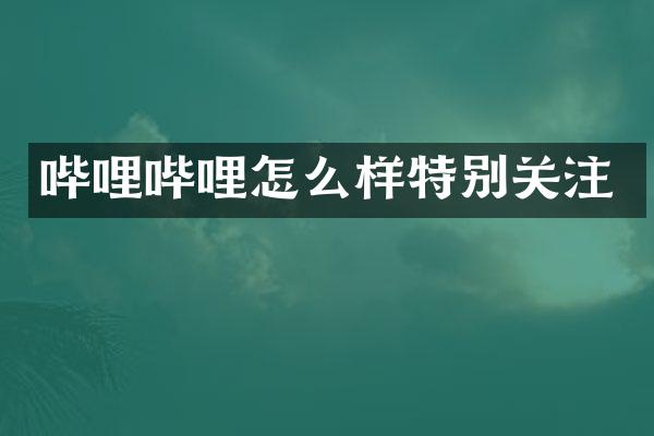 哔哩哔哩怎么样特别关注