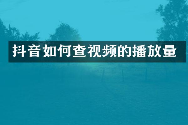 抖音如何查视频的播放量