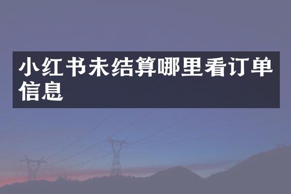 小红书未结算哪里看订单信息