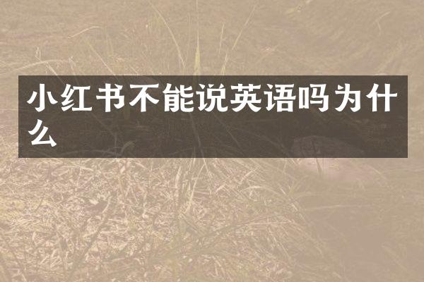 小红书不能说英语吗为什么