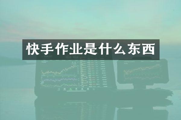 快手作业是什么东西