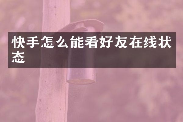 快手怎么能看好友在线状态