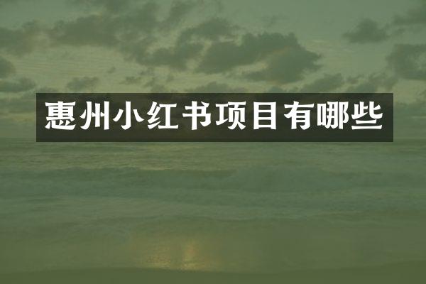 惠州小红书项目有哪些