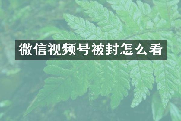 微信视频号被封怎么看