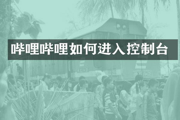 哔哩哔哩如何进入控制台