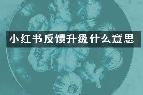 小红书反馈升级什么意思