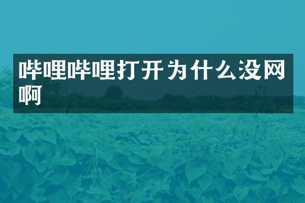 哔哩哔哩打开为什么没网啊