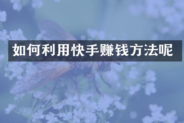 如何利用快手赚钱方法呢