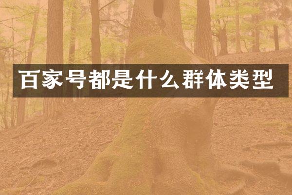 百家号都是什么群体类型