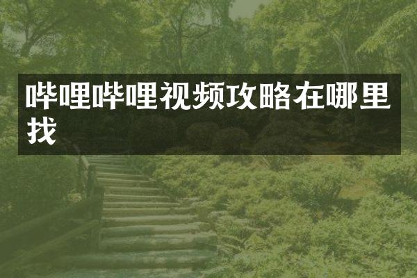 哔哩哔哩视频攻略在哪里找