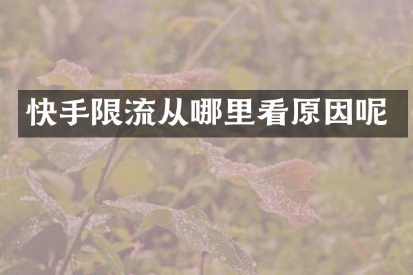 快手限流从哪里看原因呢