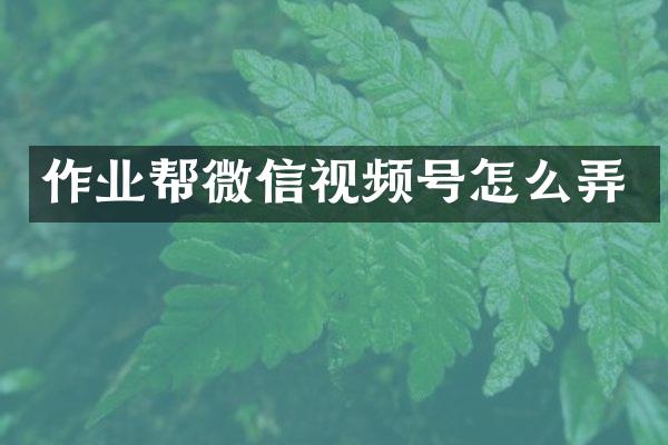 作业帮微信视频号怎么弄