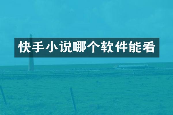 快手小说哪个软件能看