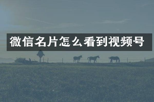微信名片怎么看到视频号