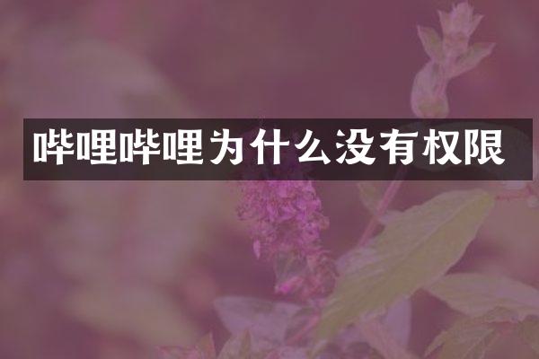 哔哩哔哩为什么没有权限