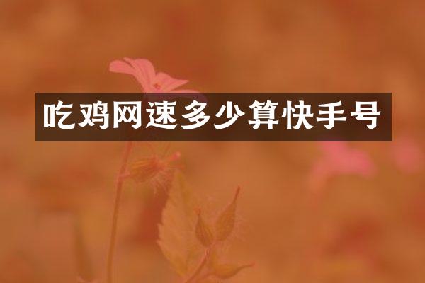 吃鸡网速多少算快手号