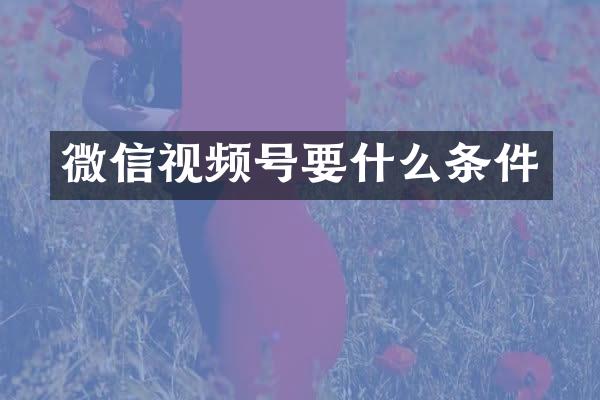 微信视频号要什么条件