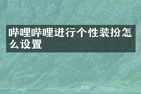 哔哩哔哩进行个性装扮怎么设置