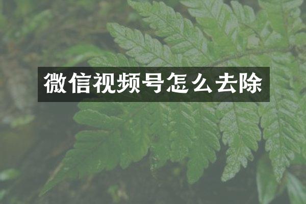 微信视频号怎么去除