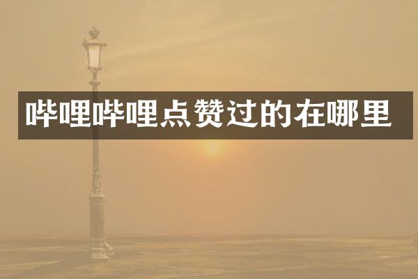 哔哩哔哩点赞过的在哪里