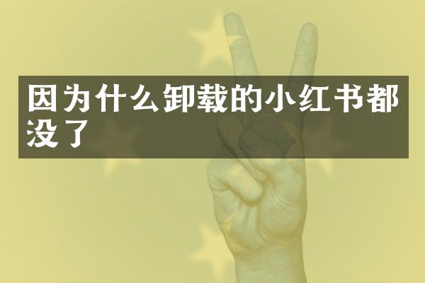 因为什么卸载的小红书都没了